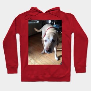 Holly Jolly Molli Hoodie